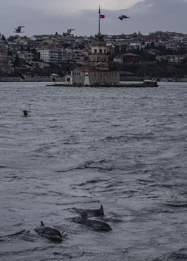 İstanbul'da toplu taşımadaki düşüş en çok vapurları vurdu